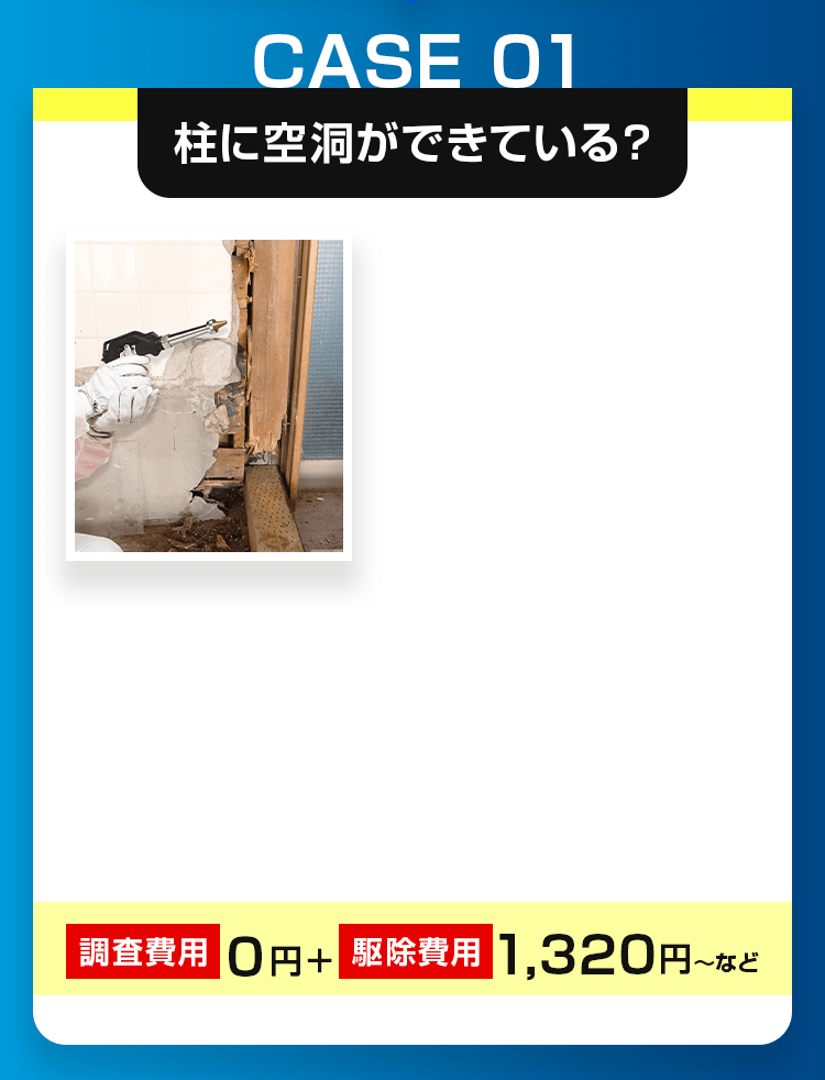 柱に空洞ができている?