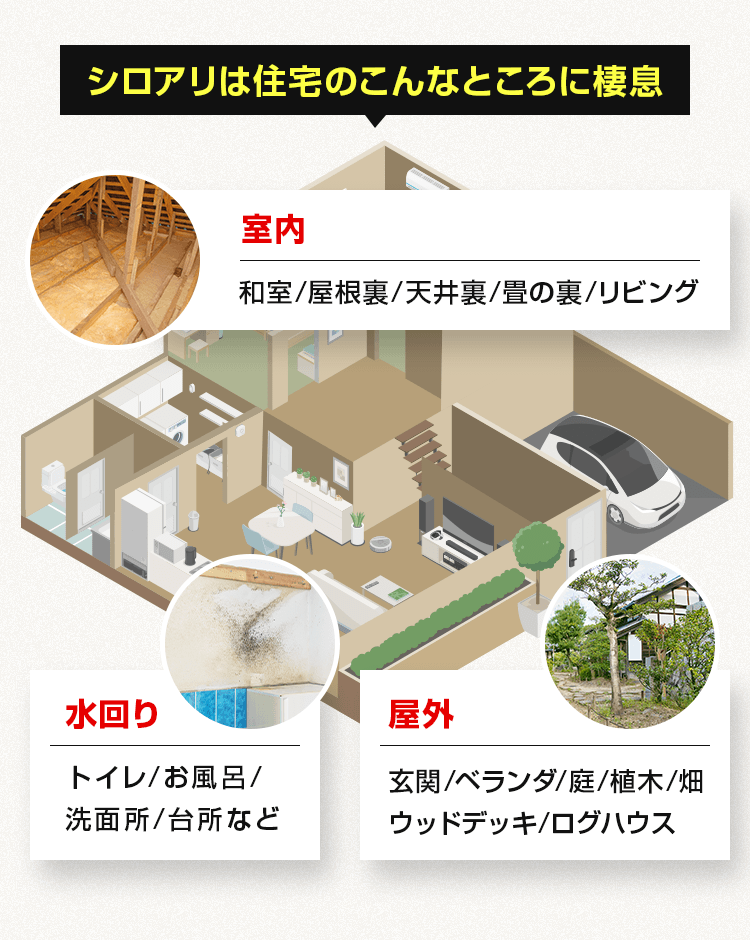 シロアリは住宅のこんなところに棲息