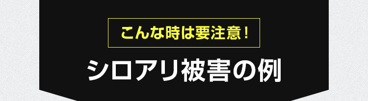 こんな時は要注意!シロアリ被害の例
