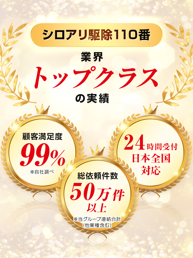 シロアリ駆除業界トップクラスの実績