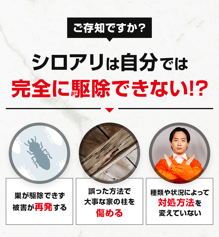 シロアリは自分では完全に除去できない!?