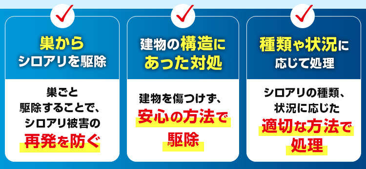 巣からシロアリを駆除・建物の構造にあった対処・種類や状況に応じて処理